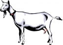 Goat Clipart