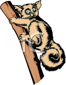 Lemur Clipart