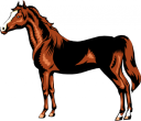 Mule Clipart