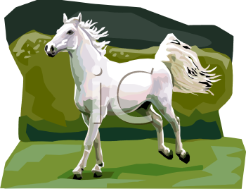 Mule Clipart