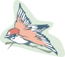 Hummingbird Clipart