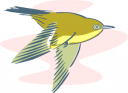 Hummingbird Clipart