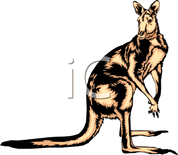 Kangaroo Clipart