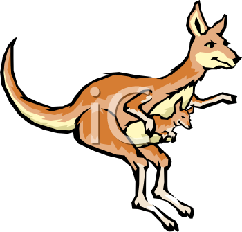 Kangaroo Clipart