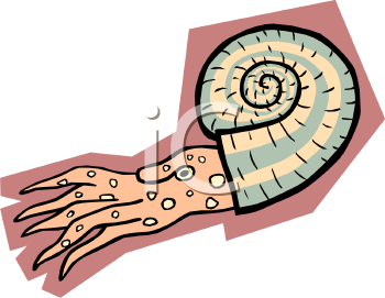 Mollusk Clipart