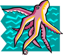 Octopus Clipart