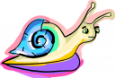 Mollusk Clipart