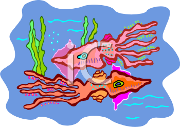 Mollusk Clipart