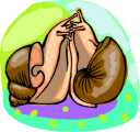 Mollusk Clipart