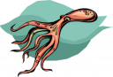 Mollusk Clipart