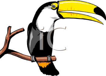 Bird Clipart