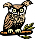 Owl Clipart