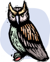 Owl Clipart