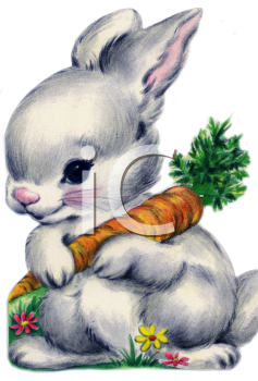 Rabbit Clipart