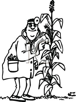 plant doctor images clipart