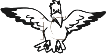 Bird Clipart