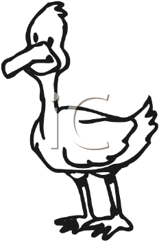 Bird Clipart