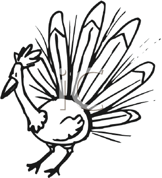 Bird Clipart