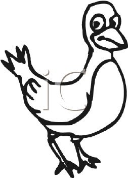 Bird Clipart