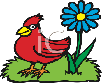 Bird Clipart