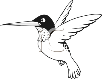 Bird Clipart