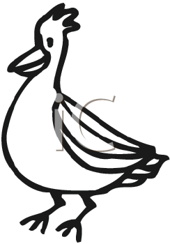 Bird Clipart