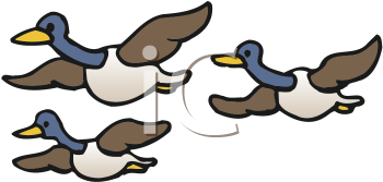 Bird Clipart