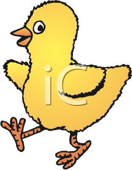 Bird Clipart