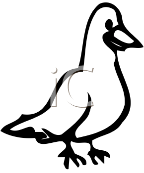 Bird Clipart