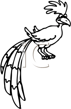 Bird Clipart