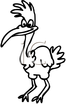 Bird Clipart