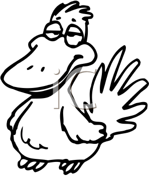 Bird Clipart