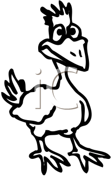 Bird Clipart