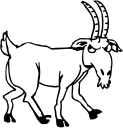 Goat Clipart