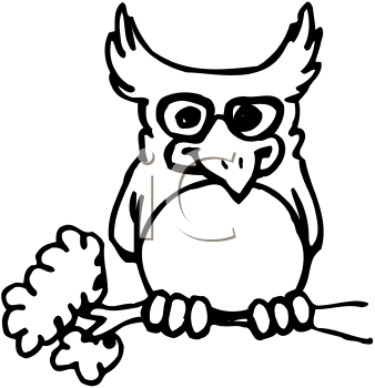 Bird Clipart