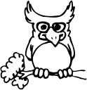 Owl Clipart