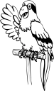 Parrot Clipart