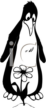 Bird Clipart