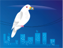 Dove Clipart