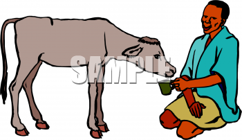 Sheep Clipart