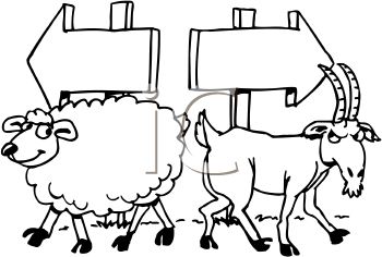 Sheep Clipart