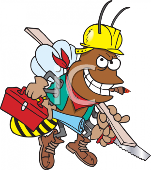 Bug Clipart