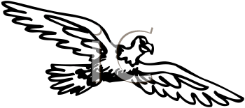 Eagle Clipart