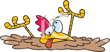 Chicken Clipart