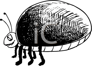 Bug Clipart