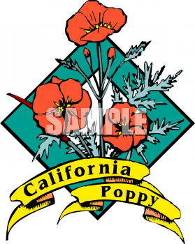 Poppy Clipart