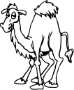 Camel Clipart