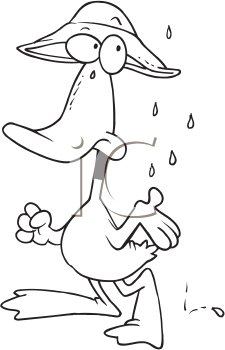 Duck Clipart