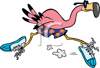 Flamingo Clipart