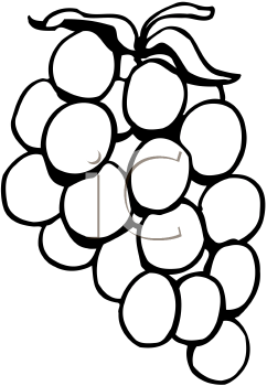 Grape Clipart